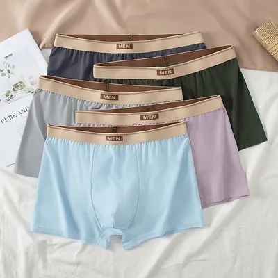 5-teilige Herren-Unterwäsche, vielseitig, mehrfarbig, gemischte Kombination, Übergröße, atmungsaktive Boxershorts aus Eisseide, Strandshorts Image