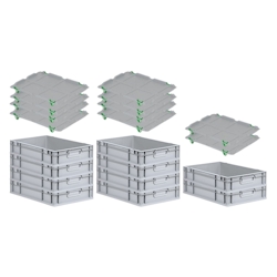 PROREGAL SparSet 10x Eurobox NextGen Economy mit Auflagedeckel & 4x Verschlüsse Grün, Griffe zu, HxBxT 12x40x60cm, 23L, Eurobehälter, Box Image