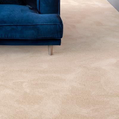 Teppichboden ANDIAMO "Levin, Velours, Made in Belgium", beige (hellbeige), B:400cm H:10mm L:600cm, Kunstfaser, Teppiche, Uni Farben, Breite 400 cm oder 500 cm, weiche Qualität Image