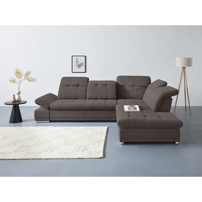 Ecksofa COTTA "Holiday L-Form mit Sitztiefen-, Armteil- und Kopfteilverstellung", schwarz (charcoal), B:310cm H:86cm T:265cm, 100% Polyester, Sofas, wahlweise mit Bettfunktion & Bettkasten Image