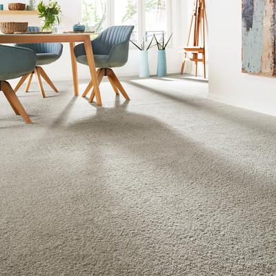 Teppichboden ANDIAMO "Verona, Velours, Made in Belgium", braun (schlamm), B:500cm H:6mm L:800cm, Kunstfaser, Teppiche, Uni Farben, Breite 400 cm oder 500 cm, strapazierfähig, pflegeleicht Image