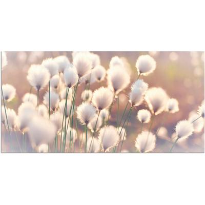 Wandbild ARTLAND "Wollgraszauber im Moor", beige (farbe bild(er): naturfarben), B:100cm H:50cm, Bilder, als Alubild, Outdoorbild, Leinwandbild, Poster, Wandaufkleber Image