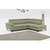 Ecksofa COTTA "Hudson L-Form", grün, B:256cm T:207cm, Sofas, mit Kopfteilverstellung, wahlweise mit Bettfunktion & Bettkasten