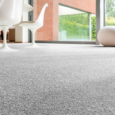 Teppichboden ANDIAMO "Rubinoy, Schlinge, Made in Belgium", silber, B:400cm H:8,5mm L:450cm, Kunstfaser, Teppiche, Breite 400 cm oder 500 cm, Wohnzimmer, strapazierfähig & robust Image