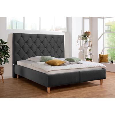 Polsterbett "Sunley 140", grau (schiefer), B:203cm L:210cm, Struktur (100% Polyester), Samtstoff (100% Polyester), GUIDO MARIA KRETSCHMER HOME & LIVING, Betten, Kreuzsteppung, Kopfteilhöhe 142 cm, ohne oder mit Matratze/Lattenrost Image