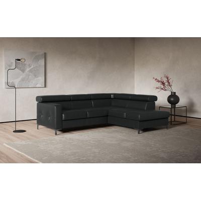 Ecksofa COTTA "Sammy L-Form", schwarz, B:239cm H:74cm T:207cm, Microfaser Primabelle (100% Polyester), Die Rückseite und die Liegefläche der Bettfunktion in NaturLEDER ist mit schwarzem Spannstoff bezogen, Sofas, mit Kopfteilverstellung, wahlweise... Image