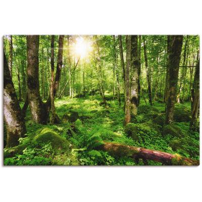 Wandbild ARTLAND "Wald", grün (farbe bild(er): grün), B:90cm H:60cm T:1,8cm, Canvas, Leinwand, Bilder, als Leinwandbild, Poster, Wandaufkleber in verschied. Größen Image