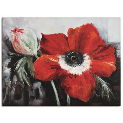 Leinwandbild ARTLAND "Mohnblumen in voller Blüte", rot (farbe bild(er): rot), B:80cm H:60cm T:1,8cm, Canvas, Leinwand, Bilder, auf Keilrahmen gespannt Image