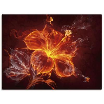 Wandbild ARTLAND "Feuerblume", rot (farbe bild(er): rot), B:80cm H:60cm, Canvas, Leinwand, Bilder, als Leinwandbild, Poster, Wandaufkleber in verschied. Größen Image