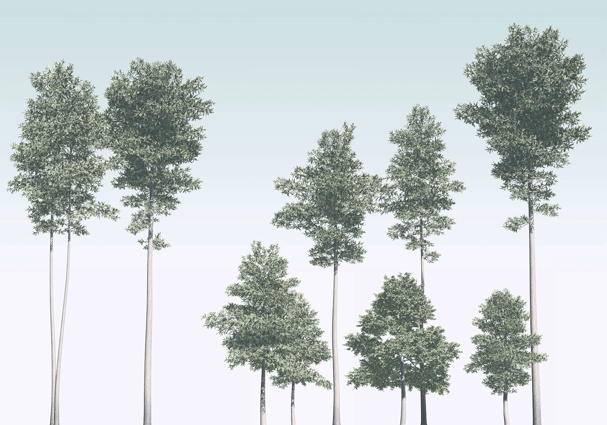 Vliestapete KOMAR "Digitaldruck Vlies - Pines - Größe 400 x 280 cm", bunt (grün, blau, weiß), B:400m L:280m, Vlies, Tapeten, Wohnzimmer, Schlafzimmer Image