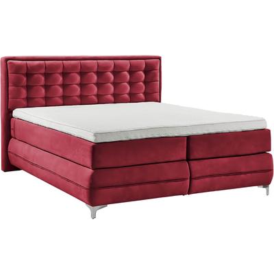 Boxspringbett MUSTERRING "Dubai", rot (d 521 rot), B:177cm L:214cm, Komplettbetten, Boxspringbett, Winkelfuß in Chrom, 3 Härtegrade, Kopfteil in Kassettensteppung Image