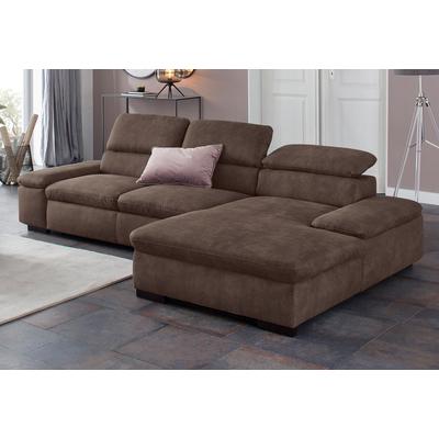 Ecksofa HOME AFFAIRE "Alberto L-Form", braun, B:286cm H:73cm T:174cm, 100% Polyester, Luxus-Microfaser ALTARA NUBUCK (100% Polyester), Luxus-Microfaser weich (90% Polyester, 10% Polyamid), Microfaser Antiklederoptik, Sofas, mit Kopfteilverstellung,... Image