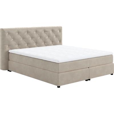 Boxspringbett COTTA "Castle", lila (pearl), B:184cm L:220cm, 100% Polyester (PES), Komplettbetten, mit Strasssteinen im Kopfteil, inkl. Topper Image