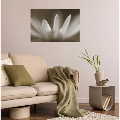 Wandsticker QUEENCE "Blüte", beige, T:0,1cm, Folie, Wandtattoos, Selbstklebend, kinderleichte Anbringung Image