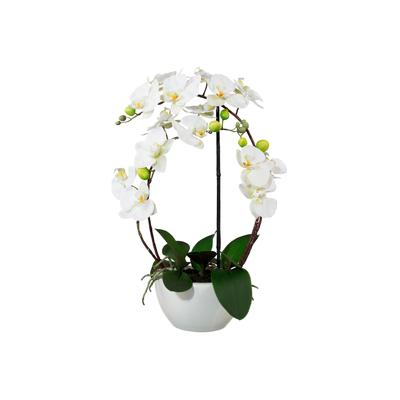 Kunstorchidee GASPER, weiß, B:22cm H:52cm T:22cm, Keramik, Kunststoff, Kunstpflanzen Image