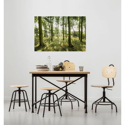 Leinwandbild KOMAR "Dänische Buchen - Größe 90 x 60 cm", bunt (farbe bild(er): grün, braun, gelb), B:90cm H:60cm T:2cm, Papier, Holz, Bilder, Keilrahmenbild mi Echtholzrahmen Image