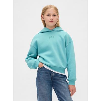Gap Blue Vintage Soft Logo Hoodie (4-13yrs)