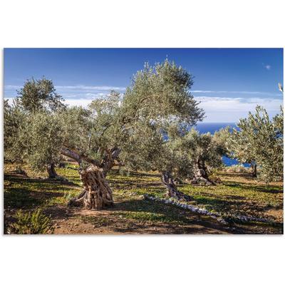 Wandbild ARTLAND "Olivenhain in der Serra de Tramuntana", grün (farbe bild(er): grün), B:90cm H:60cm, Bilder, als Alubild, Outdoorbild, Leinwandbild, Poster in verschied. Größen