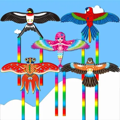 Kids Adult Fishing Rod Dynamic Wing Long Tail Kites Dynamic Kites for Beginners Lightweight and Easy Control Kites Toy
