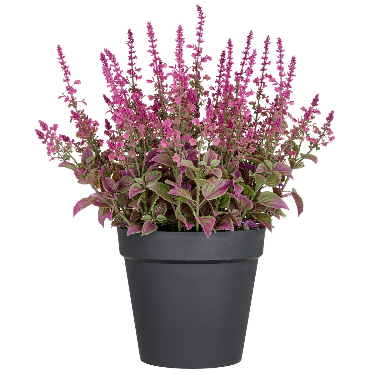 CREATIV green künstliche Pflanze Salvia superba XXL, im Kunststofftopf,pink, 65cm, UV-beständige Image