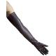 Dents Long Leather Dress Gloves - Ladies/Womens (Sizes 8.0", Brown)