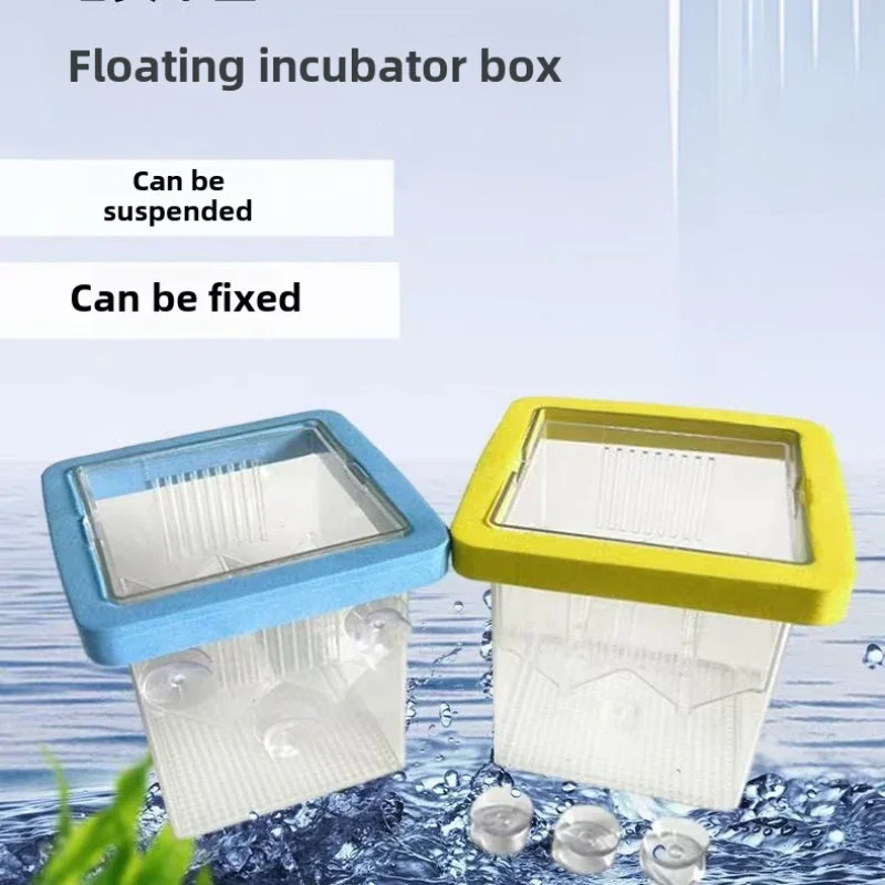 Isolationsbox, Mutterfisch, kleine Fische, aufgehängte schwimmende Zucht, Pfauenfischbraten, kleines Aquarium, Inkubator, Brutkasten Image