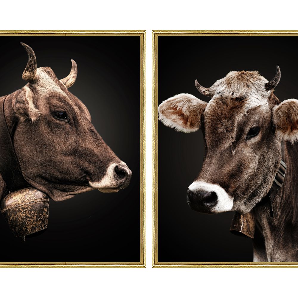 La Casa »Cow Portaits« Glasbilder 30x40 cm 2er-Set Image