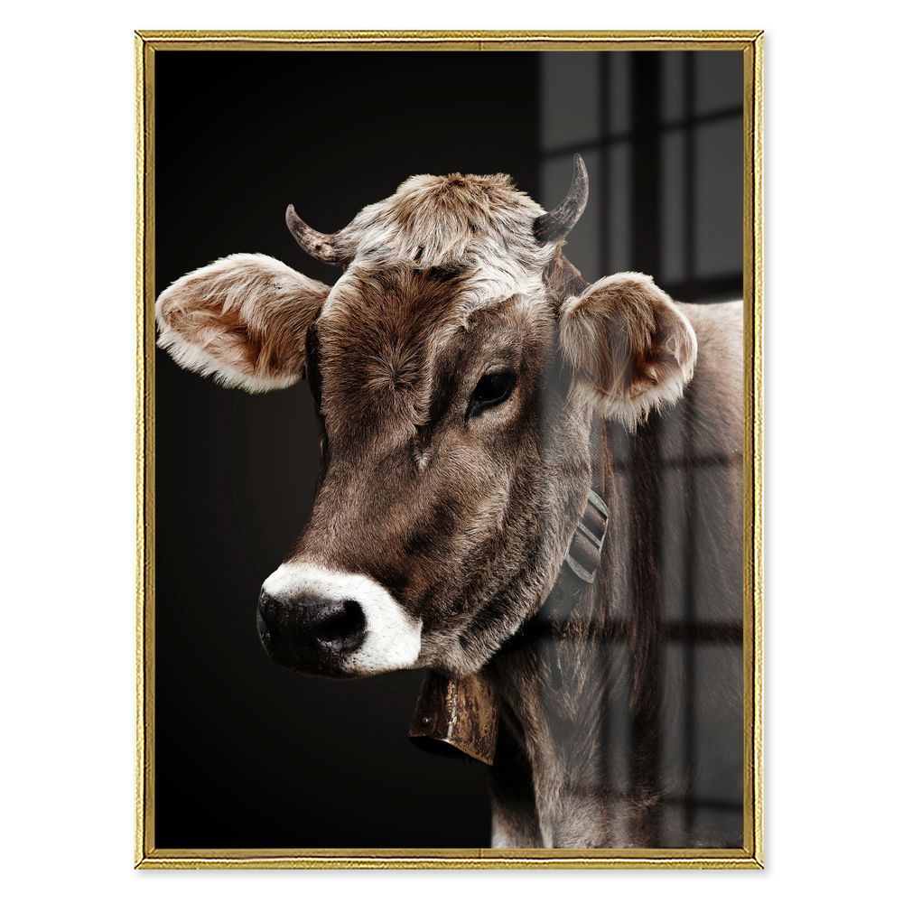 La Casa »Cow Portrait« Glasbild 90x120 cm gerahmt Image