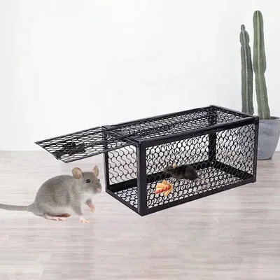 Mouse Trap Rat Trap Rodent Trap Live Catch Cage mall Reusable Voles Hamsters Animal-Mice Supplies Control Rodent Pest Trap H3X2
