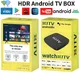 X1TV Smart TV Box Android Assistente Google 4GB 64GB HD 4K 2.4G/5G Wifi BT5.0 Lettore multimediale Set Top Box IPTV Google Play Netflix