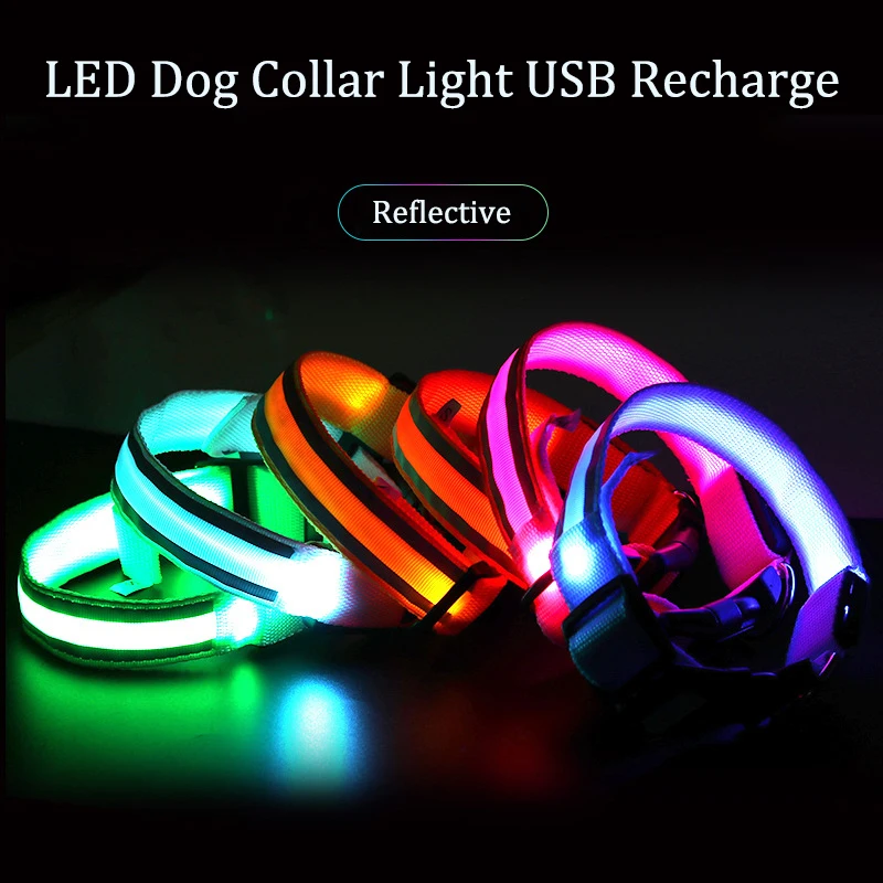 Collare per cani riflettente, luminoso, di sicurezza notturna, ricaricabile tramite USB, con luce LED, per cani di piccola taglia, gatti, collare per animali domestici, per cani, taglie XS-XL