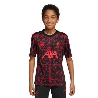 Liverpool adidas Pre-Match-Trikot – Schwarz – Kinder Image