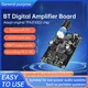 DC12-24V Scheda amplificatore digitale BT universale TPA3110D2 Amplificatore audio a doppio canale 30W + 30W XH-A238