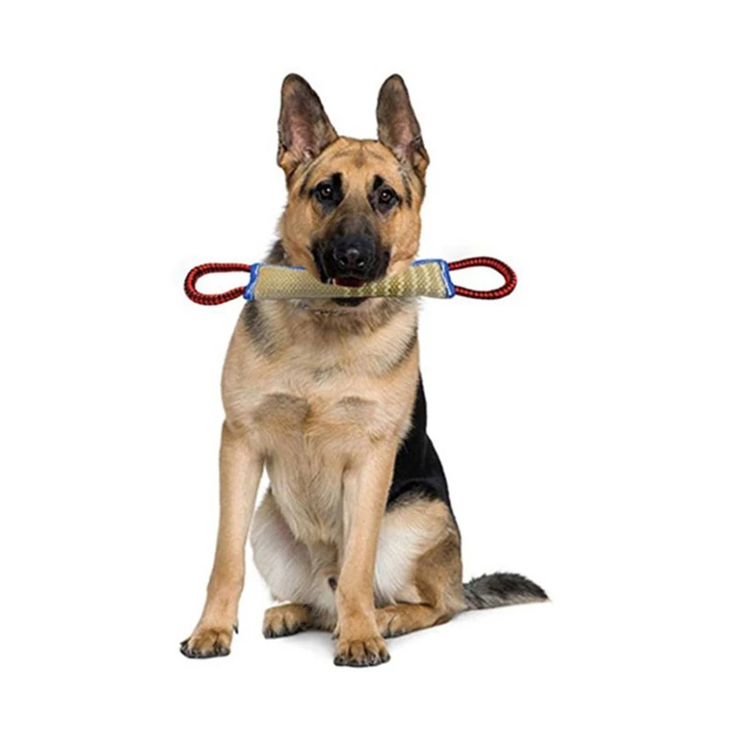Trainingshunde zur Verwendung grober Jute-Kaustäbchen zum Aufnehmen von Backenzähnen, Kaustäbchen für Hunde und Kaukissen für deutsche Schäferhund Image