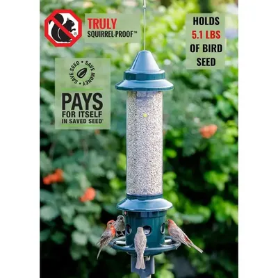 Squirrel Buster Plus Squirrel-proof Bird Feeder w/Cardinal Ring and 6 Feeding Ports, 5.1-pound Seed Capacity, Adjustable