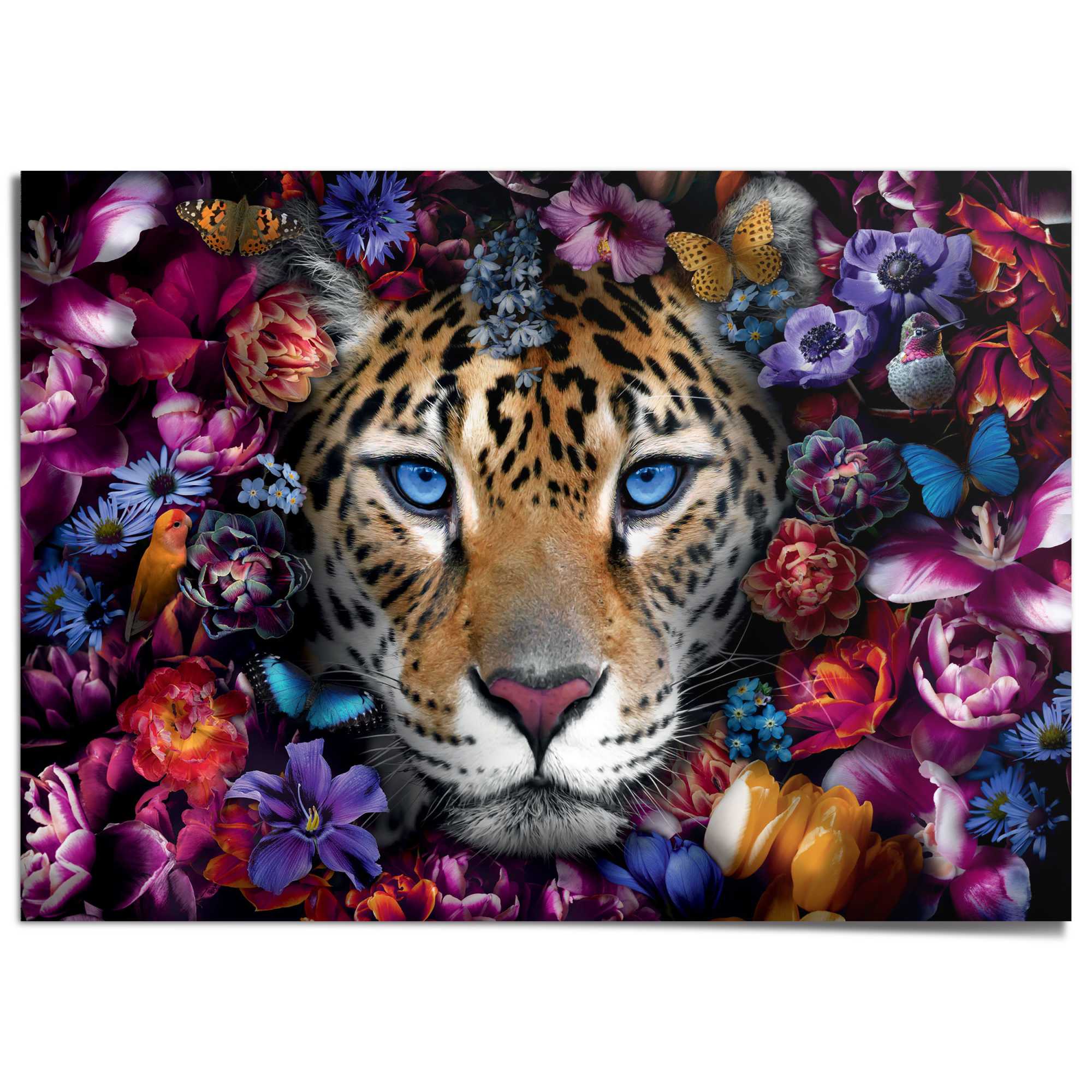 Poster REINDERS "Power Cat", bunt (farbe bild(er): mehrfarbig), B:140cm H:100cm T:0,1cm, Bilder Image