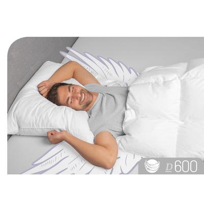 3-Kammer-Kopfkissen SCHLAFSTIL "D600", weiß, B:80cm L:80cm, Bezug: 100% Baumwolle. Füllung Außenkammer: 90% Gänsedaunen, 10% Gänsefeder. Füllung Innenkammer: 100% Gänsefeder, Kopfkissen, hergestellt in Deutschland, allergikerfreundlich Image