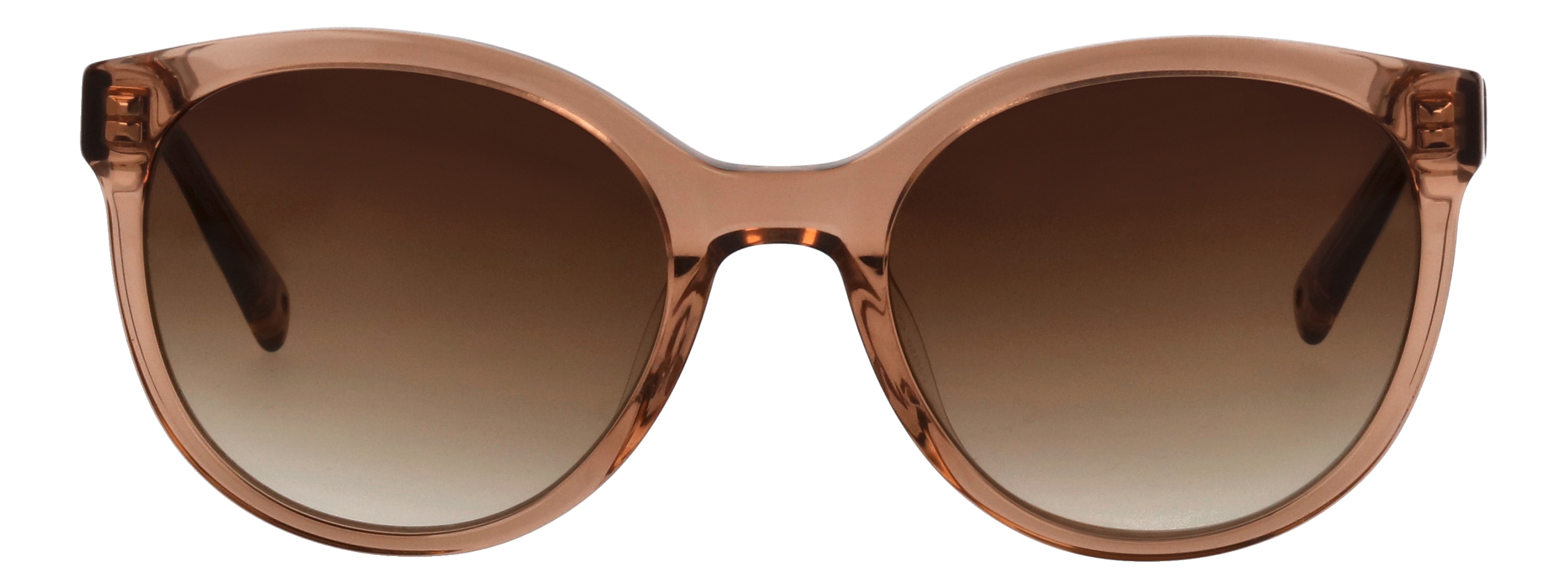 Sonnenbrille BRENDEL EYEWEAR "BRENDEL eyewear Sonnenbrille", Damen, Gr. onesize, braun (geschmackvolles hellbraun), Sonnenbrillen Image