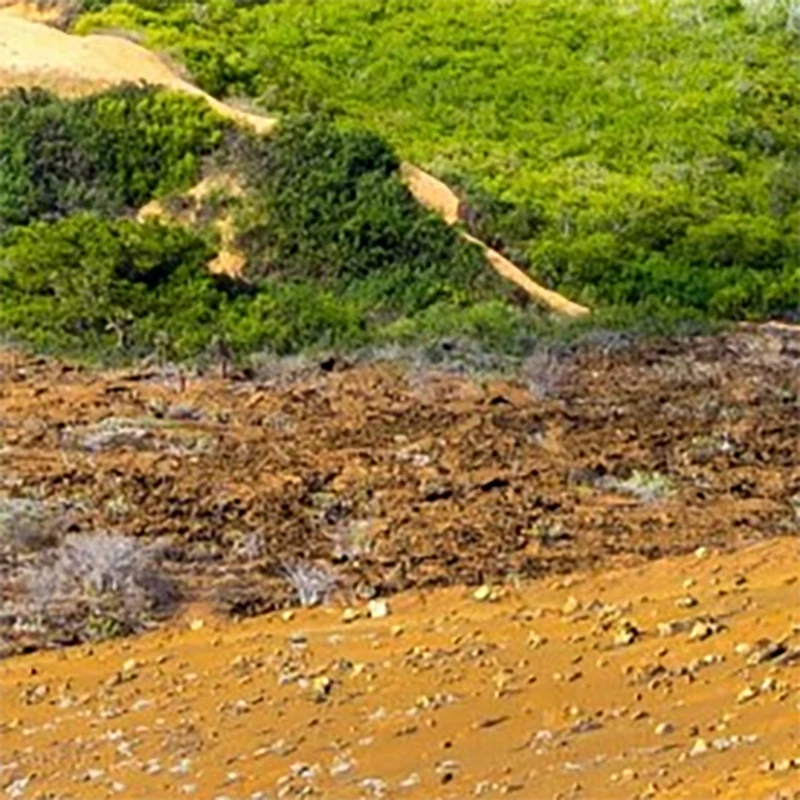 1 Paar sexy Nippel transparente selbstklebende atmungsaktive bequeme Aufkleber Strass Brust Blütenblätter Dessous Pasties BHs Image