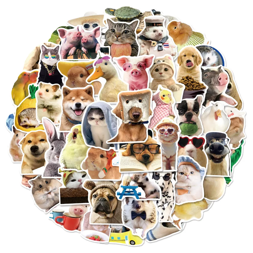 Card image cap