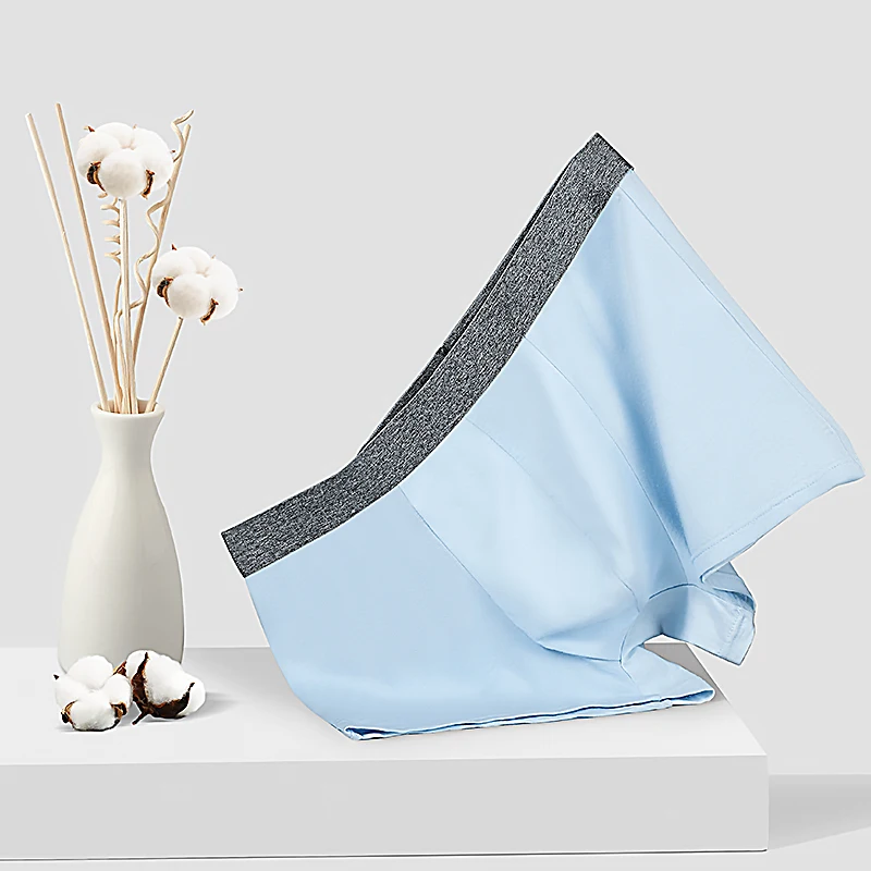 2 Stück Herrenhöschen, Herren-Boxershorts aus Baumwolle, Modalhose, sommerliche, sportliche Herren-Boxershorts in Übergröße Image