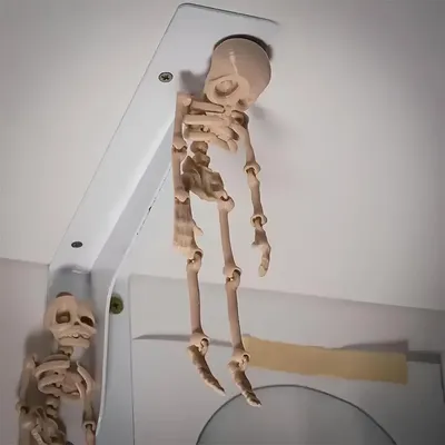 1 Stück magnetischer beweglicher Totenkopf-Kühlschrankmagnet, lustiges Halloween-Geschenk, Ostern, Küche und Esszimmer, Heimzubehör, schrulliges Dekor Image