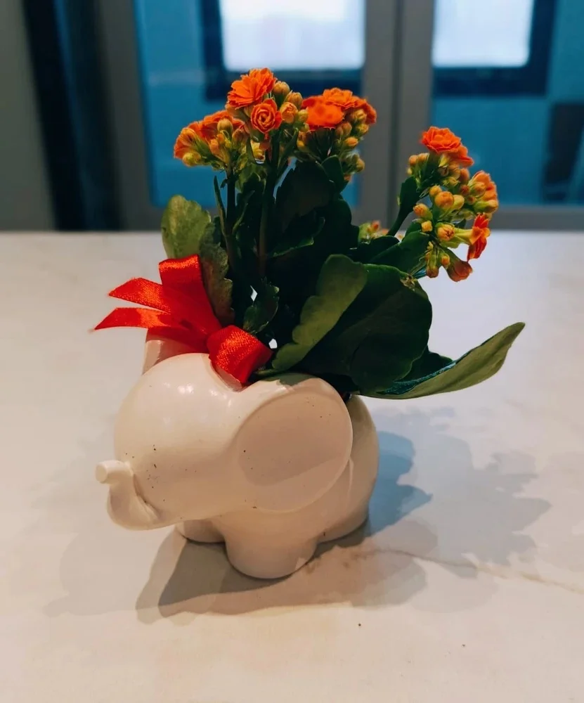 DIY Elefant Blumentopf Beton Zement Silikon Form Niedlichen Tier Lagerung Können Schmuck Lagerung Box Stift Halter Hause Handwerk Form Image