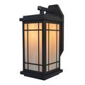 Gracie Oaks Kusiak 1-Light Outdoor Wall Lantern Glass in Yellow | 17.5 H x 8 W x 9 D in | Wayfair 607C664188894E44BD3EE908DA9980D0