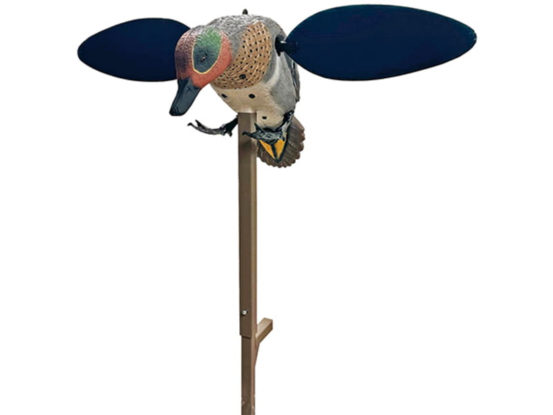 MOJO GREEN WING HW2555