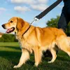 Lange Nylon-Hundeleine für kleine große Hunde, Katzen, Wandern, Welpenleinenseil, 1,5 m, 3 m, 10 m, 30 m, Golden Retriever, Chihuahua, Mops-Zubehör