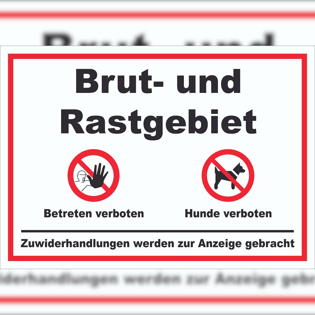 HB-Druck Brut- und Rastgebiet Betreten und Hunde verboten Schild A2 (420x594mm) Image