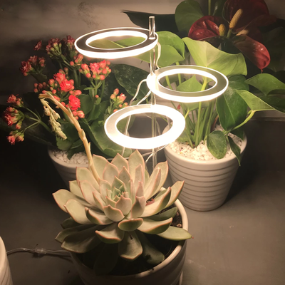 LED Ring Grow Light For Indoor Plants | Angel Glow Ring Light For Indoor Plants | 3 Head LED Plant Grow Lights 3 Light Heads