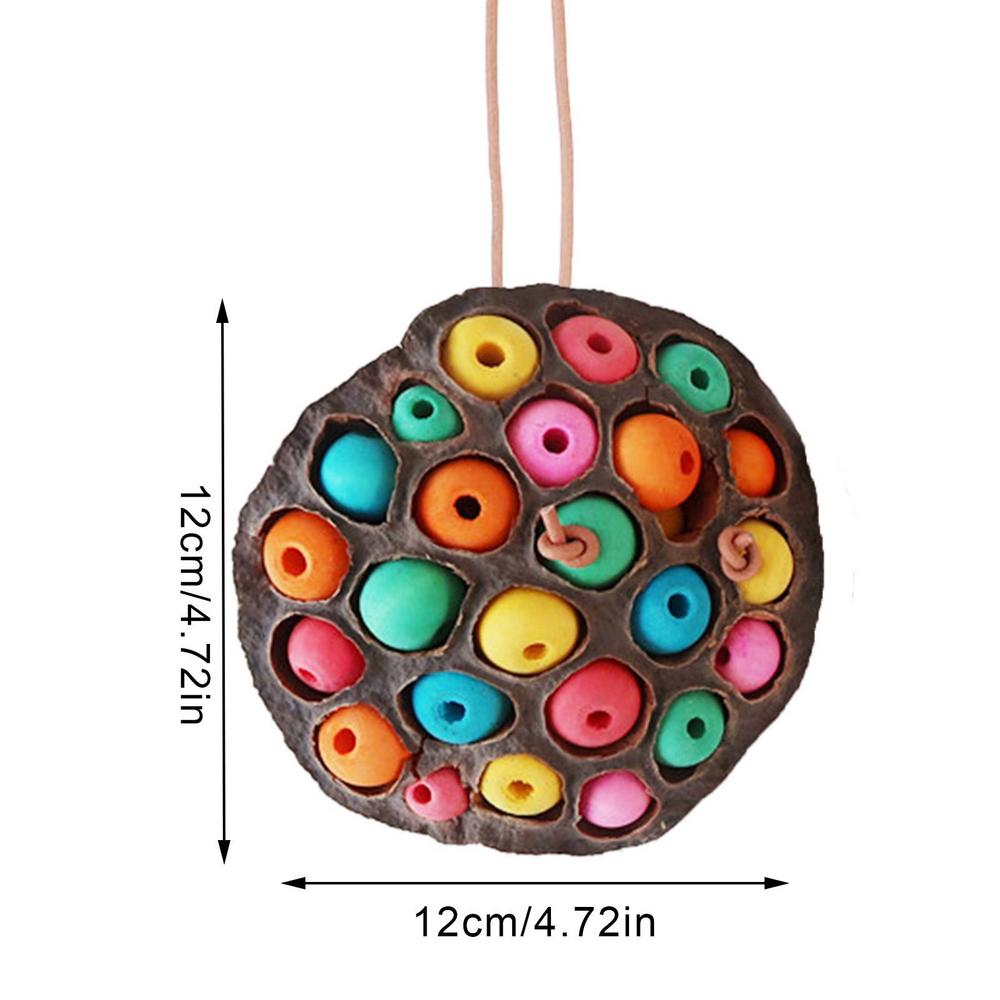 Lotus Pod Bird Parrot Toy: Natural Chew & Foraging Entertainment For Parakeet & Cockatiel Pets A