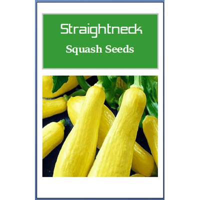 Straightneck Squash Seeds, Non GMO Heirloom Fresh Garden Seeds For Home Gardening 5 Seeds
